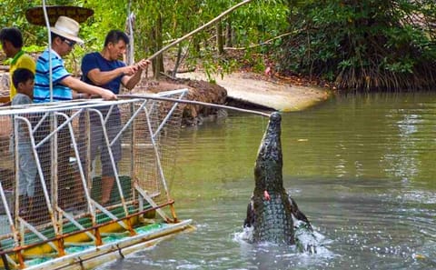 Explore Monkey Islands and Gio Mangrove Forest From Ho Chi Minh