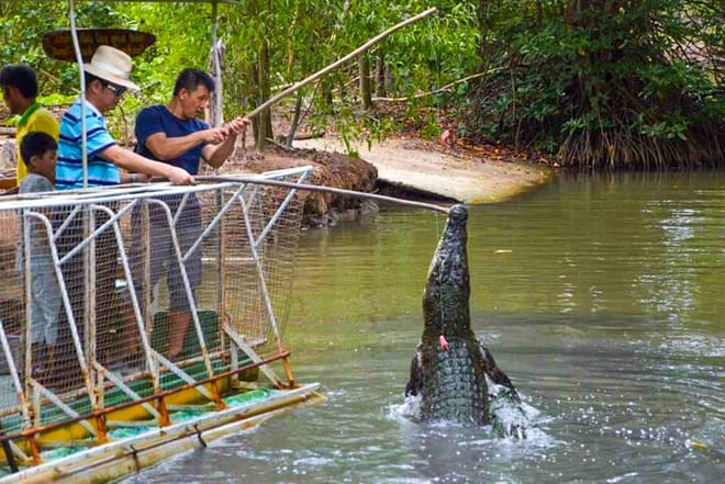 Explore Monkey Islands and Gio Mangrove Forest From Ho Chi Minh photo 3
