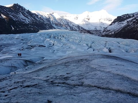 Svínajökull