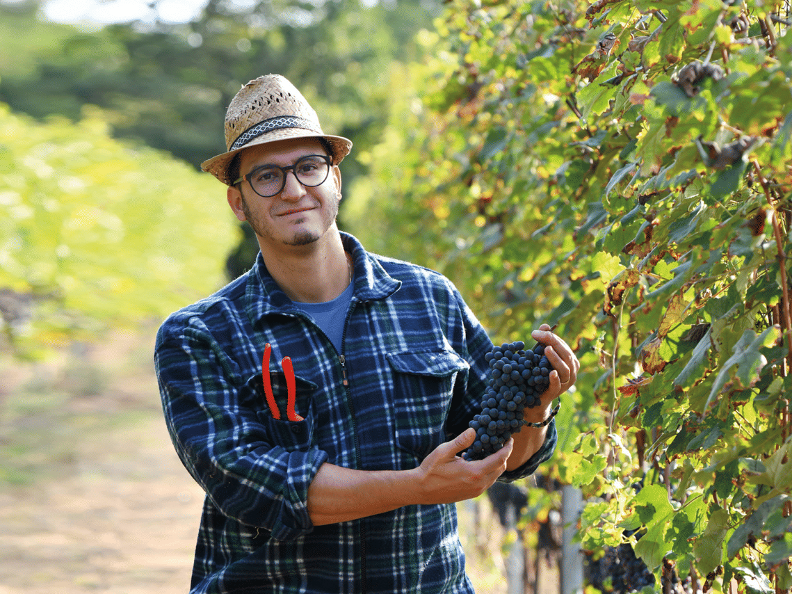 Organic Winery Visit near Turin with Wine & Food Tasting 4
