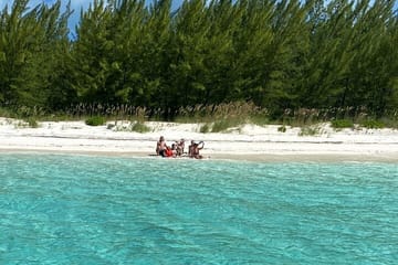 Swim with the Pigs Safari in Bahamas (2hrs)