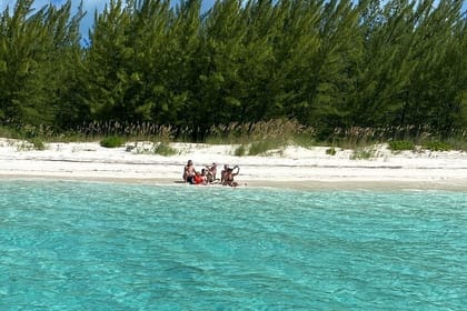 Swim with the Pigs Safari in Bahamas (2hrs)
