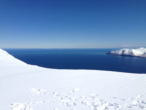 Private Arctic Coastline and Culture, photo 2