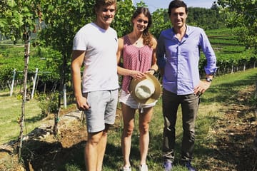 Valpolicella Wine Tasting and Cultural Tour in Marano di Valpolicella