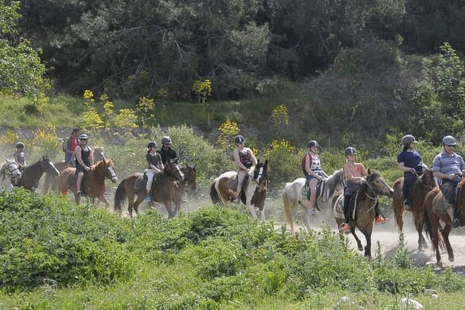 Kusadasi: Horse Riding Beach and Forest options with Transfer photo 5