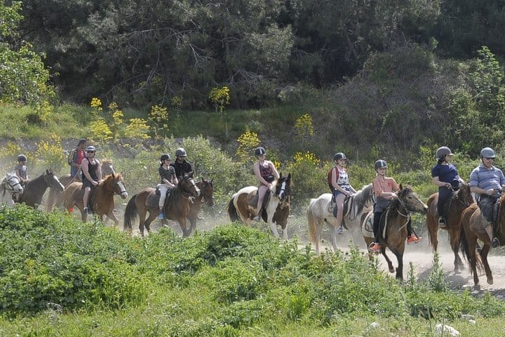 Kusadasi: Horse Riding Beach and Forest options with Transfer 5