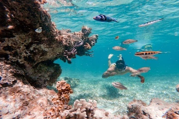 Cabeza de Toro Reserve Glass-Bottom Catamaran Cruise