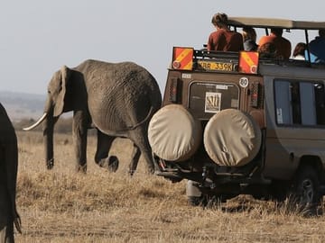 5-Day Safari Tour of Amboseli and Tsavo National Parks