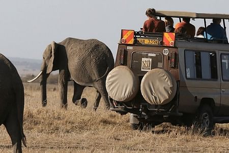 Amboseli & Tsavo Safari: Private Wildlife Adventure with Stunning Views