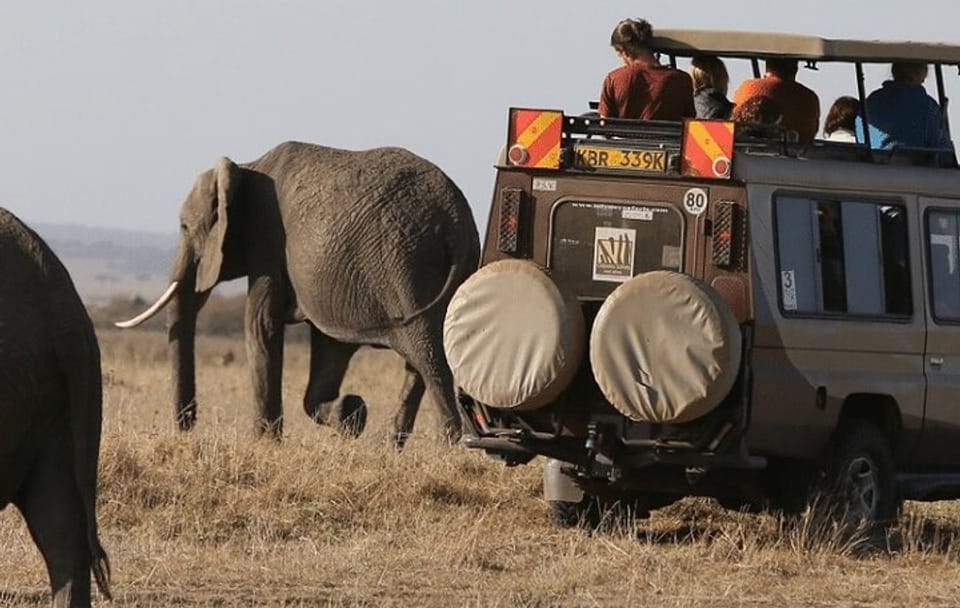 5-Day Safari Tour of Amboseli and Tsavo National Parks