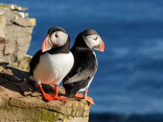8-Day Small Group Journey Around Iceland, photo 31