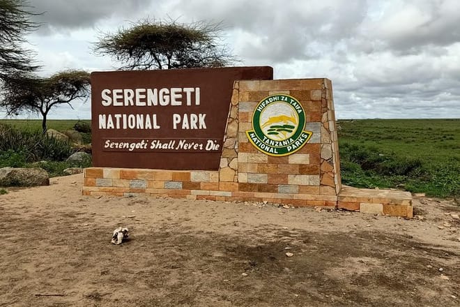 4 Days - Serengeti Fly In Safari 2