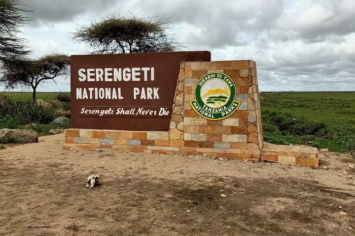 4 Days - Serengeti Fly In Safari 2