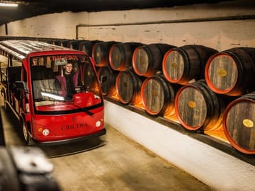 Classic Car Tour of Old Orhei and Cricova Wine Cellars