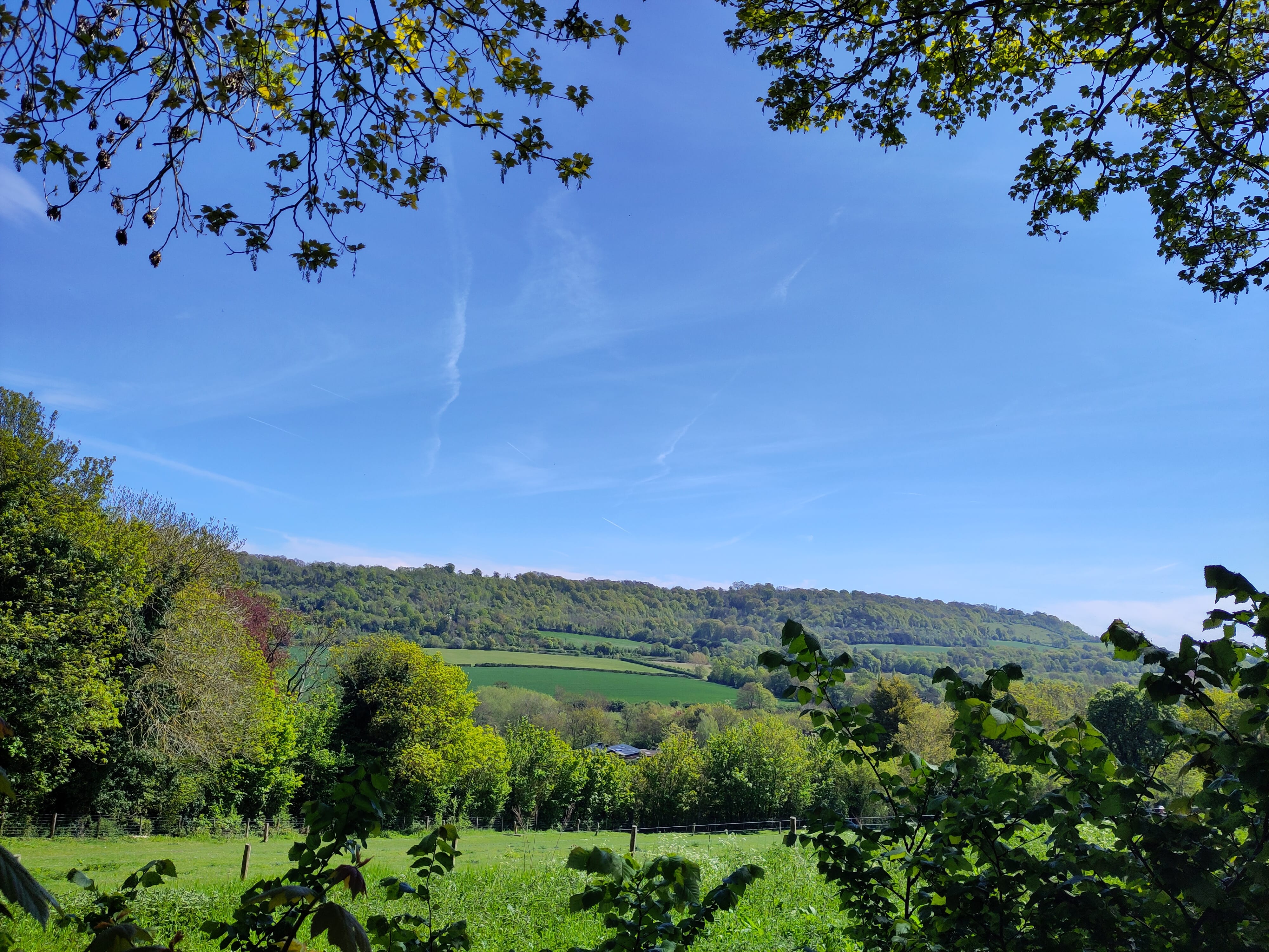 A view of the valley with trees and a blue sky