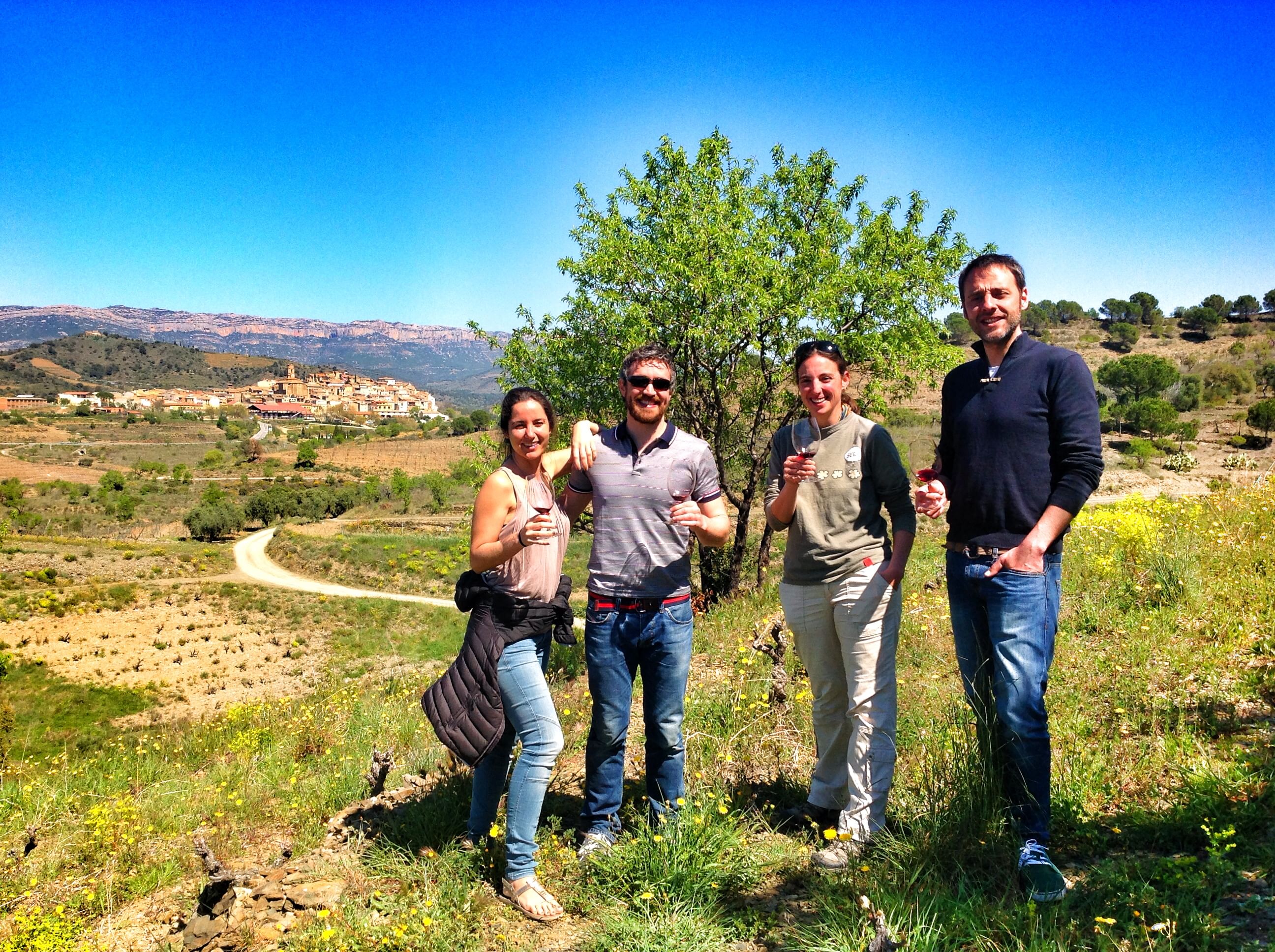 Wine & Olive oil Tour in the Priorat Wine Region