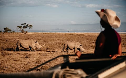 Luxury 3-Day Safari Adventure in Ol Pejeta Conservancy, Kenya