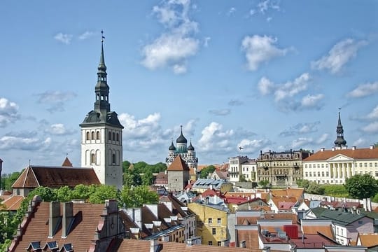 Tallinn Private Walking Tour With A Professional Guide