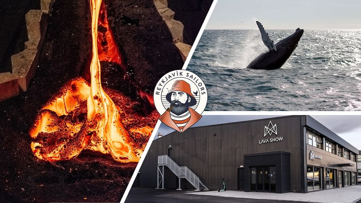 Whale Watching & Lava Show Reykjavik: Nature's Breathtaking Spectacle