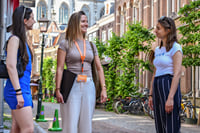 2 Hours Walking Tour Throughout History & Highlights of Haarlem 4