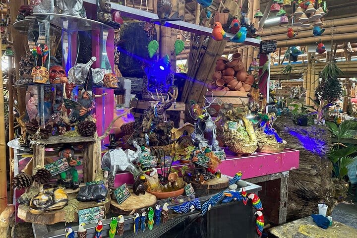 Cali's Colorful Markets: Private Tour of Colombian Fruits 10