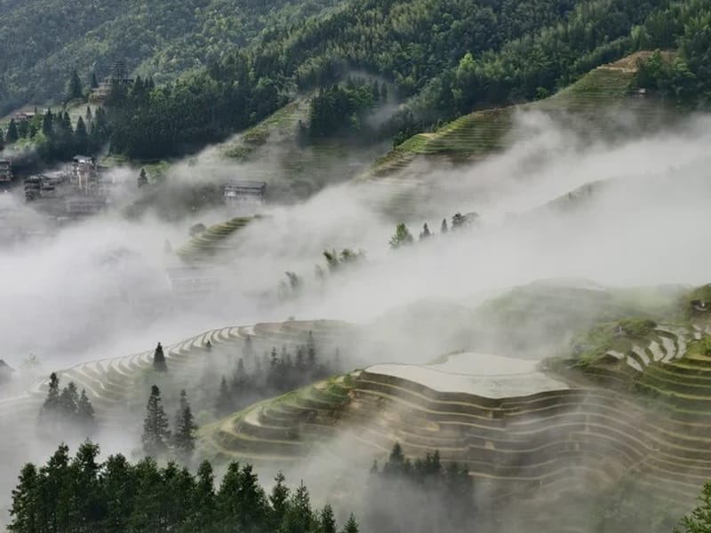 Day Tour to Longji Rice Terraces from Guilin