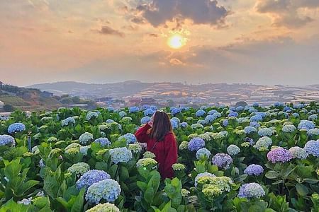 Discover Dalat: Highlights Tour of Temples, Palaces & Nature