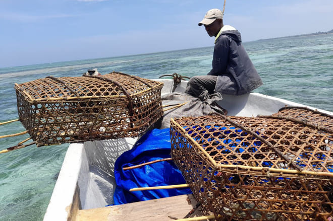 Zanzibar: Tumbatu Island Cultural Experience photo 5