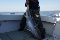 Big Game Fishing Hvar 1