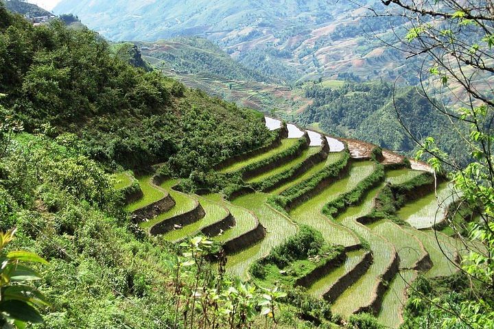 Sapa Trekking Adventure: Explore Villages & Scenic Rice Terraces from Hanoi