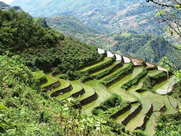 3-Night Sapa Trekking Tour from Hanoi
