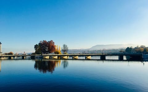 Private Full-Day Cultural Tour of Geneva with Photography Session