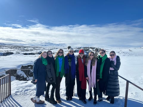 Golden Circle Private Tour with Secret Lagoon from Reykjavik, photo 2