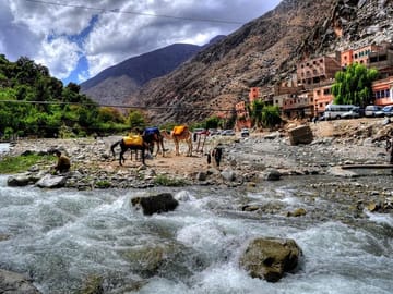 Shared Day Tour of Ourika Valley and Atlas Mountains from Marrakesh