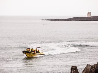 Puffin Tour by RIB Speedboat from Downtown Reykjavik, photo 13