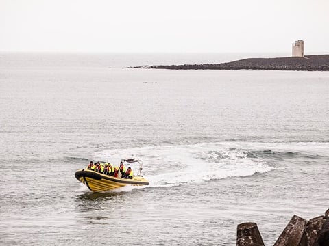 Puffin Tour by RIB Speedboat from Downtown Reykjavik, photo 13