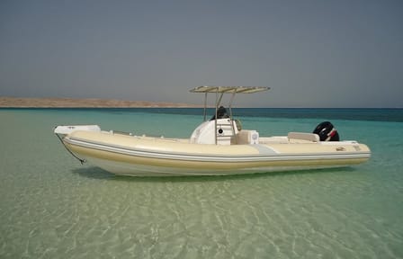 Snorkeling with Turtles at Abu Dabab Bay from Hurghada