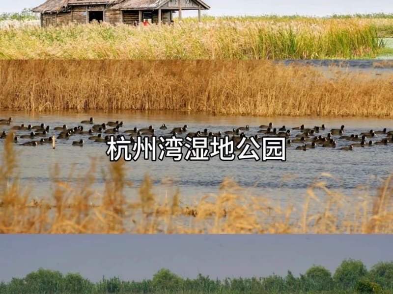 Shanghai: Cixi Bayberry & Scenic Hills Private Day Trip