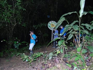 Night Tour Traail