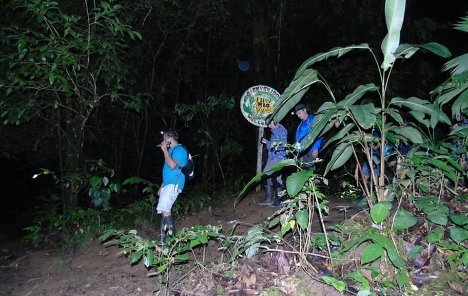 Night Hiking Adventure in Drake Bay, Costa Rica