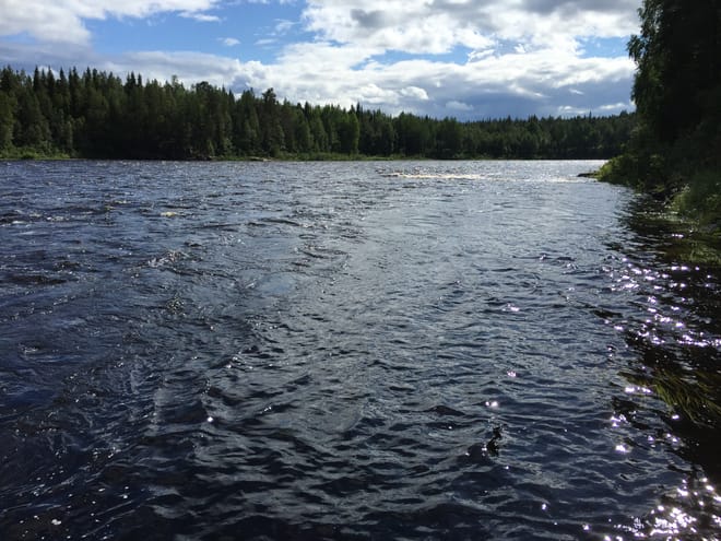 Rod Fishing from the Shore in Rovaniemi photo 3