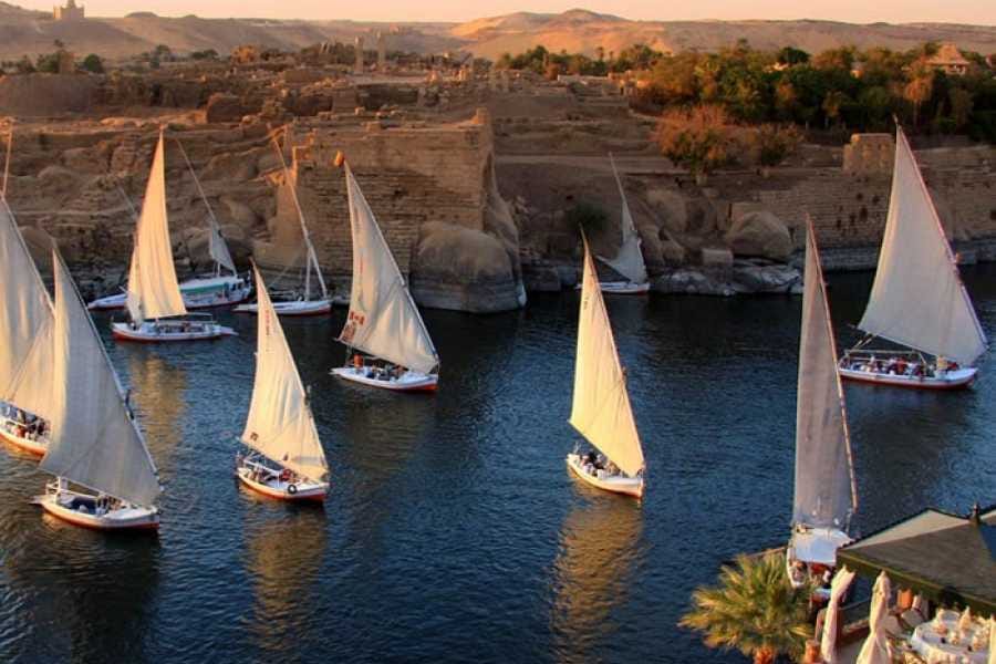 Aswan: The Iconic Botanical Garden & Felucca Ride on the Nile  Private Tour