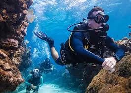 Dubai : Scuba Diving in Arabian Gulf Marine Life