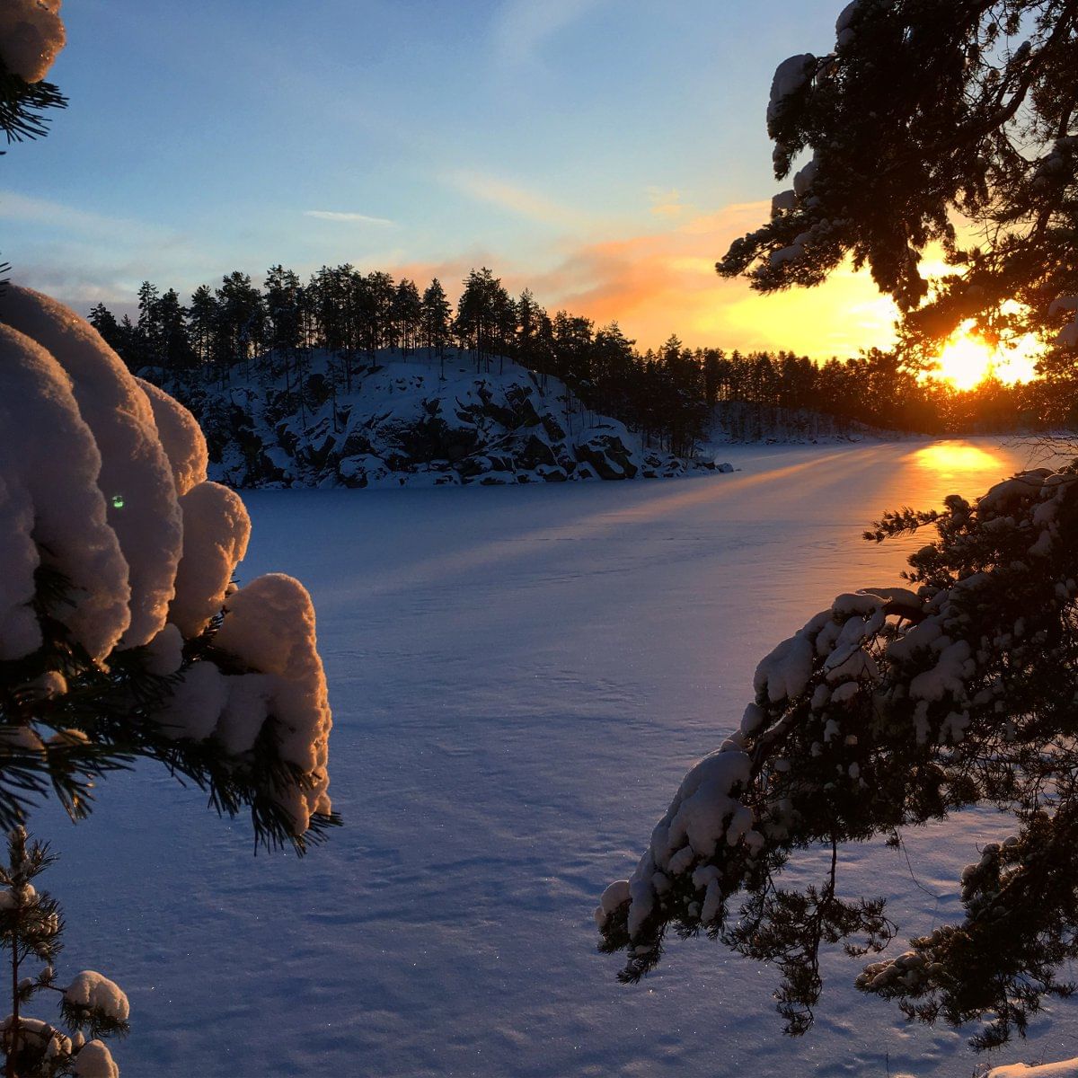 Winter view from lake Saimaa