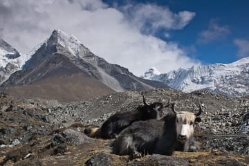18-Day Himalayan Climb with Everest Base Camp Acclimatization