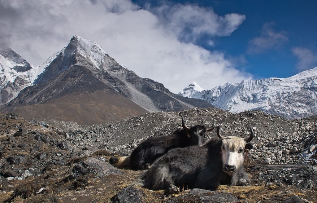 18-Day Himalayan Climb with Everest Base Camp Acclimatization