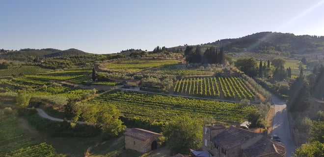 Tour and Wine Tasting - Photo 4