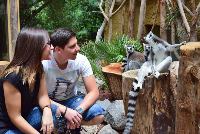 Skip the Line: Jungle Park Tenerife Entrance Ticket photo 6