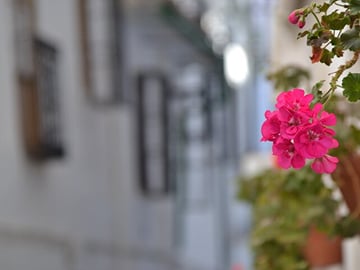 Cordoba White Villages Private Full Day Trip with Pick up