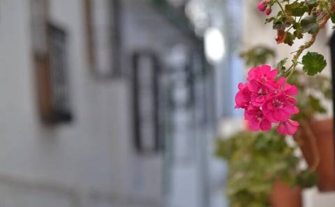Cordoba White Villages Private Full Day Trip with Pick up